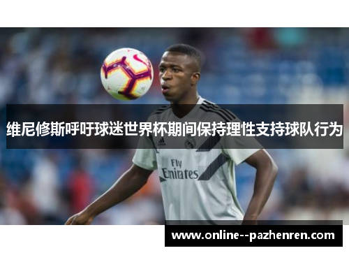 维尼修斯呼吁球迷世界杯期间保持理性支持球队行为