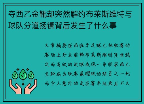 夺西乙金靴却突然解约布莱斯维特与球队分道扬镳背后发生了什么事